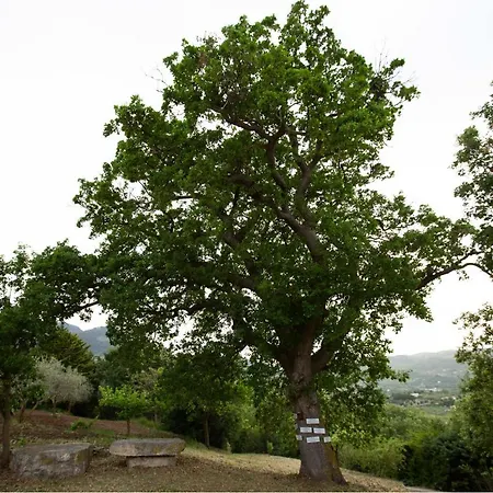 Equiturismo San Lorenzo - Kamara Gasthuis 4*