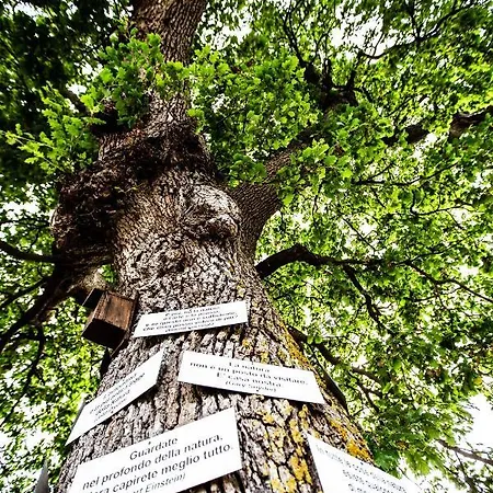 Equiturismo San Lorenzo - Kamara Gasthuis Cammarata