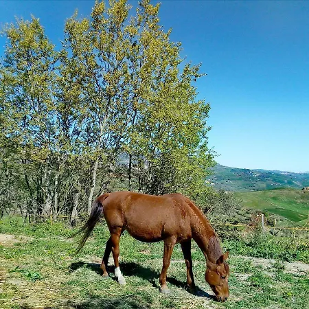 Equiturismo San Lorenzo Pensión Cammarata