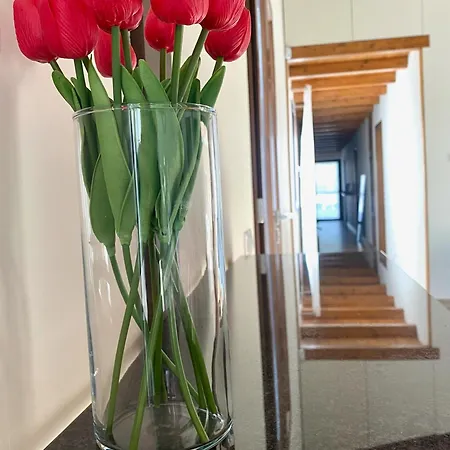 Gasthuis Equiturismo San Lorenzo - Kamara Cammarata