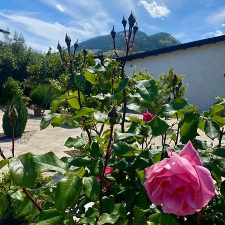 Gasthuis Equiturismo San Lorenzo - Kamara 4*